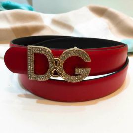 Picture of DG Belts _SKUDGBelt25mmX95-110CM7d011110